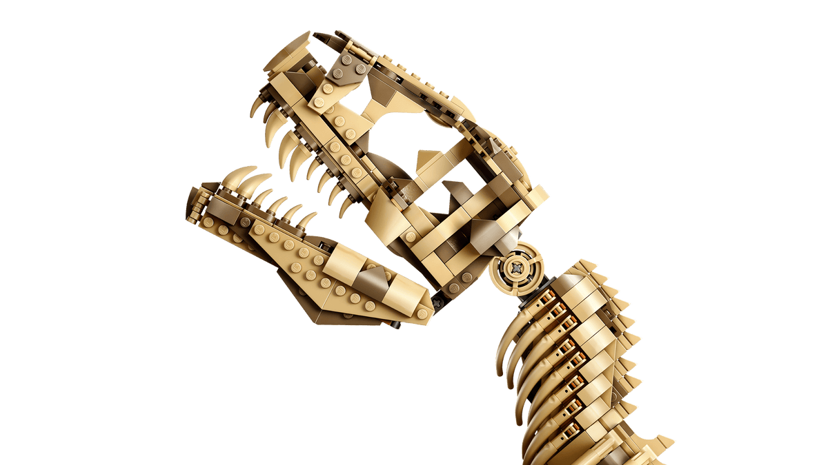 LEGO - Les fossiles de dinosaures : le Tyrannosaurus rex