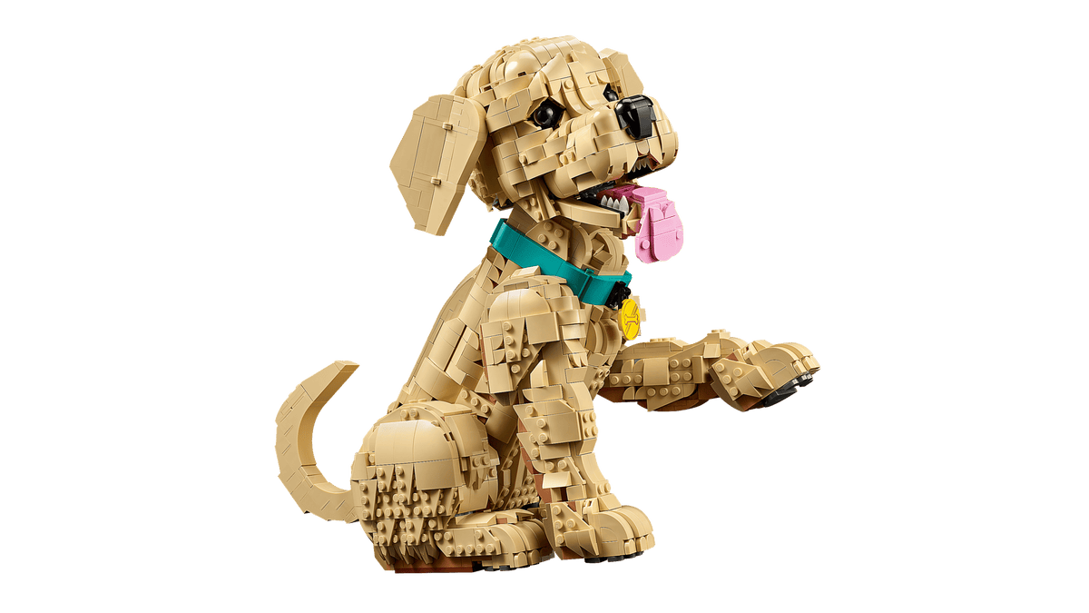 LEGO - Le chiot Golden Retriever